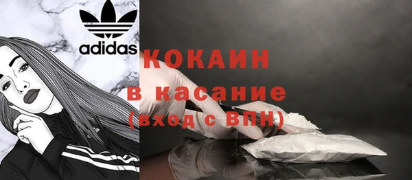 PSILOCYBIN Зеленодольск
