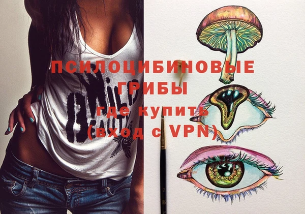 амф Зеленокумск