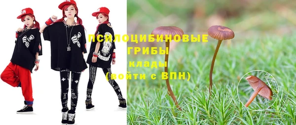 PSILOCYBIN Зеленодольск